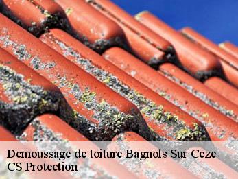 Demoussage de toiture