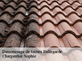 Demoussage de toiture 30127