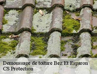 Demoussage de toiture  bez-et-esparon-30120 CS Protection