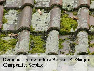 Demoussage de toiture boisset-et-gaujac-30140 Charpentier Sophie