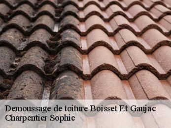 Demoussage de toiture 30140