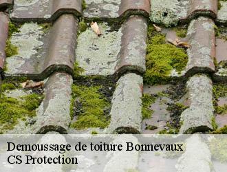 Demoussage de toiture bonnevaux-30450 CS Protection