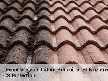 Demoussage de toiture  30190