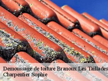 Demoussage de toiture