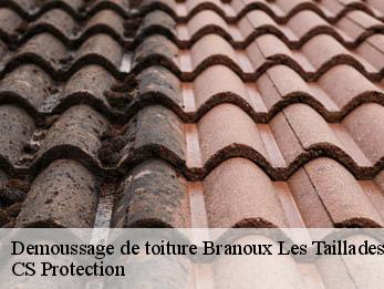 Demoussage de toiture 30110