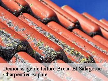 Demoussage de toiture