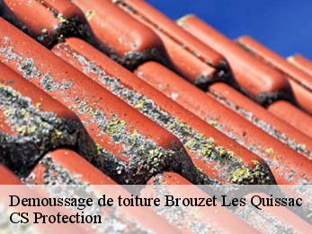 Demoussage de toiture