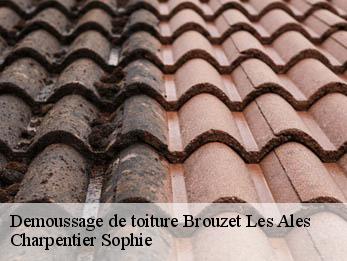 Demoussage de toiture  30580