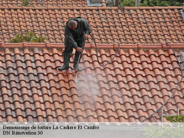 Demoussage de toiture 30170