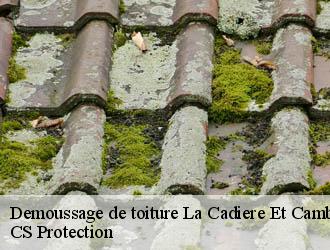 Demoussage de toiture la-cadiere-et-cambo-30170 CS Protection