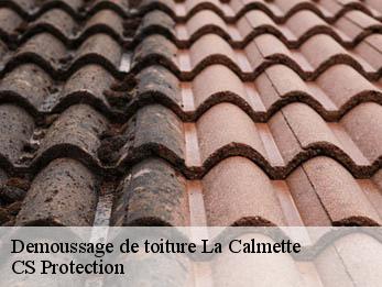 Demoussage de toiture 30190