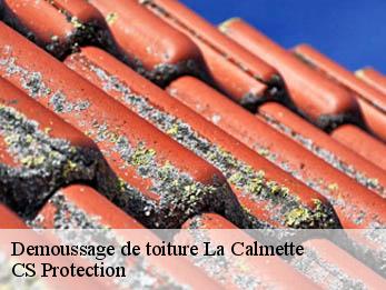 Demoussage de toiture