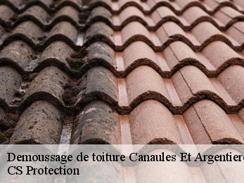 Demoussage de toiture 30350