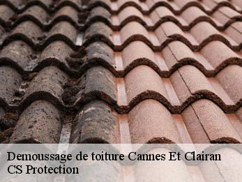 Demoussage de toiture 30260