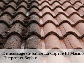 Demoussage de toiture 30700