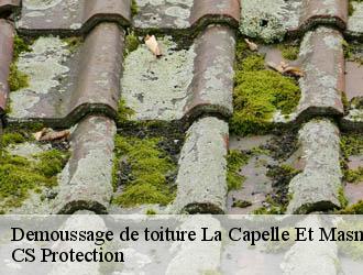 Demoussage de toiture la-capelle-et-masmolene-30700 CS Protection