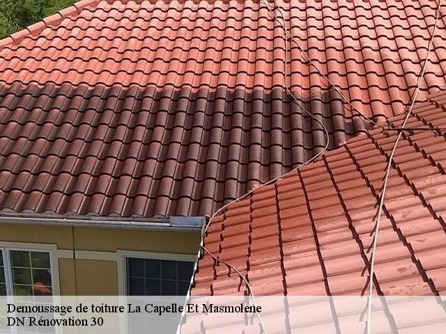Demoussage de toiture  la-capelle-et-masmolene-30700 DN Rénovation 30