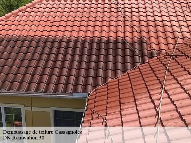 Demoussage de toiture  cassagnoles-30350 DN Rénovation 30