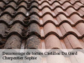 Demoussage de toiture 30210