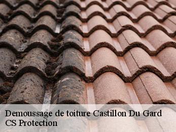 Demoussage de toiture  30210