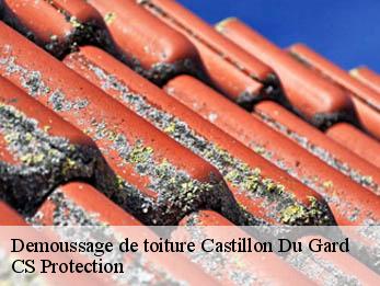 Demoussage de toiture