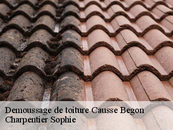 Demoussage de toiture  30750