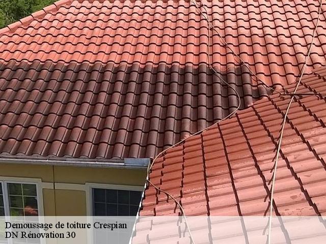 Demoussage de toiture  crespian-30260 DN Rénovation 30