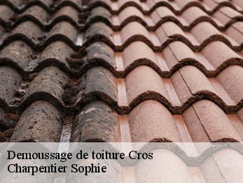 Demoussage de toiture  30170