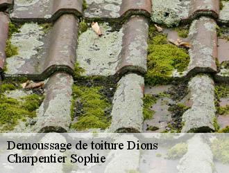 Demoussage de toiture dions-30190 Charpentier Sophie
