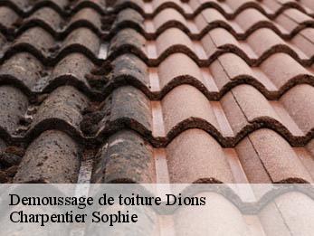 Demoussage de toiture 30190