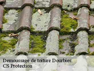 Demoussage de toiture  dourbies-30750 CS Protection