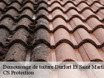 Demoussage de toiture 30170