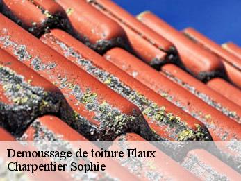 Demoussage de toiture