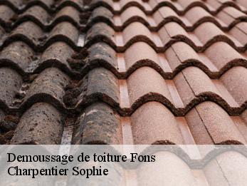 Demoussage de toiture 30730