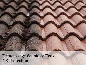 Demoussage de toiture 30730