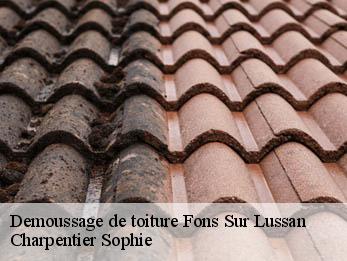 Demoussage de toiture 30580