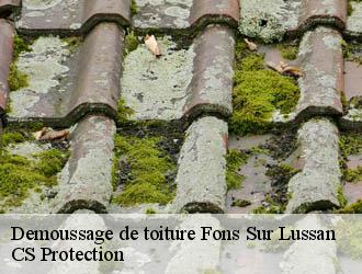 Demoussage de toiture fons-sur-lussan-30580 CS Protection