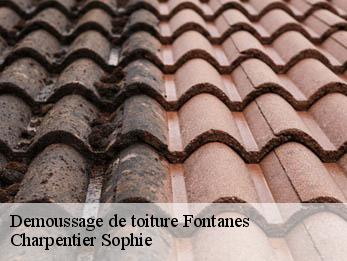 Demoussage de toiture 30250