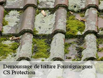 Demoussage de toiture foussignargues-30160 CS Protection
