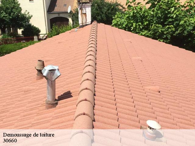 Demoussage de toiture 30660
