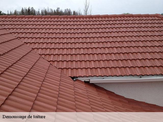 Demoussage de toiture 30660