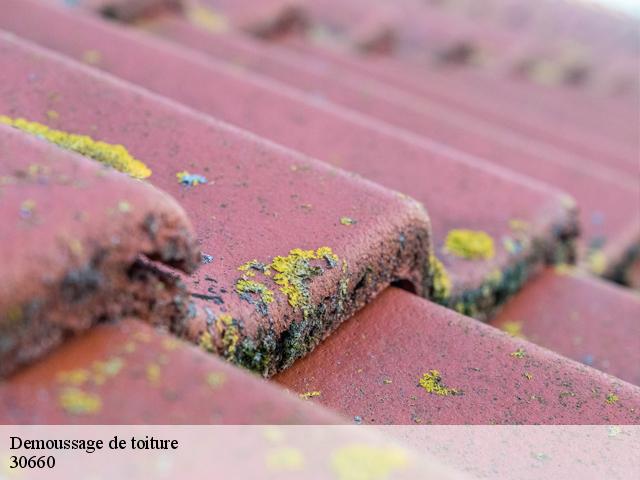 Demoussage de toiture 30660