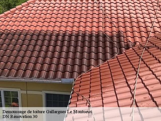 Demoussage de toiture gallargues-le-montueux-30660 DN Rénovation 30