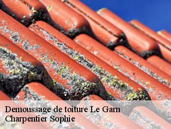 Demoussage de toiture