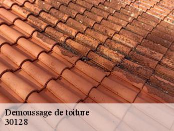 Demoussage de toiture 30128