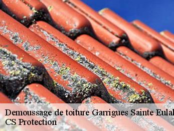 Demoussage de toiture