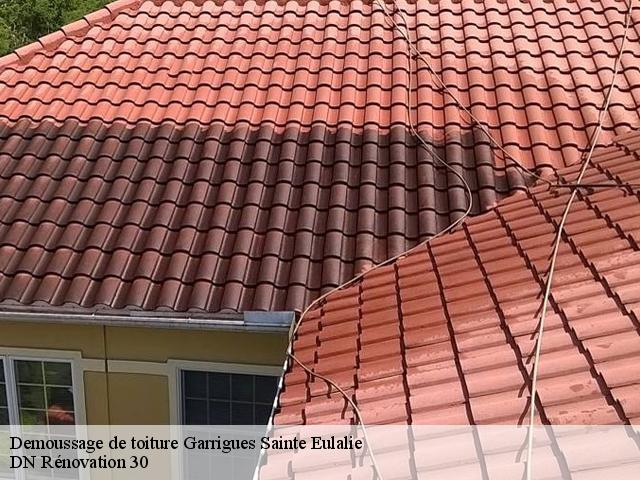 Demoussage de toiture garrigues-sainte-eulalie-30190 Rudy couverture