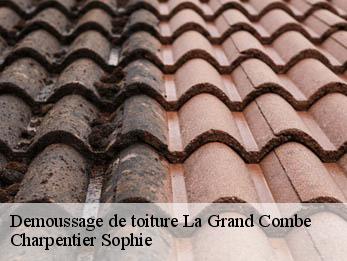 Demoussage de toiture  30110