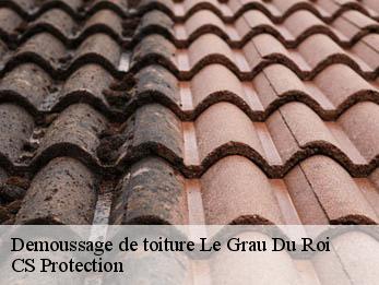 Demoussage de toiture 30240
