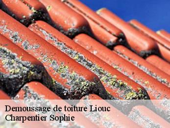 Demoussage de toiture